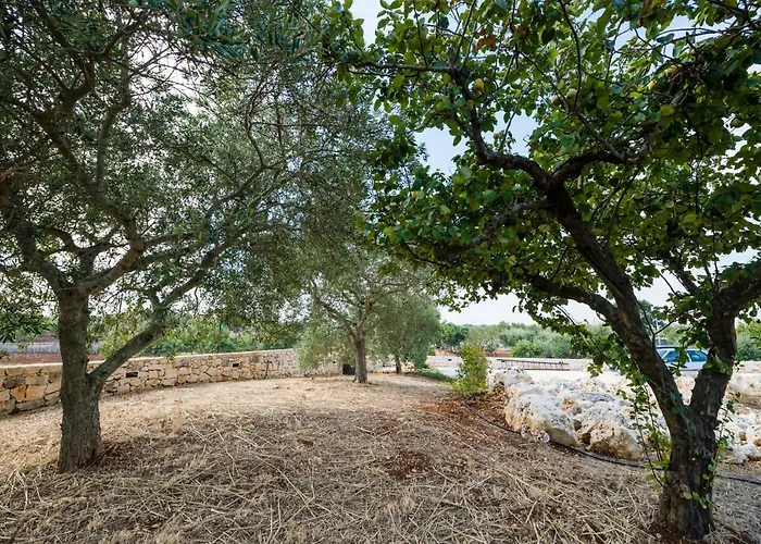 Masseria Mezza Ruota 알베르벨로