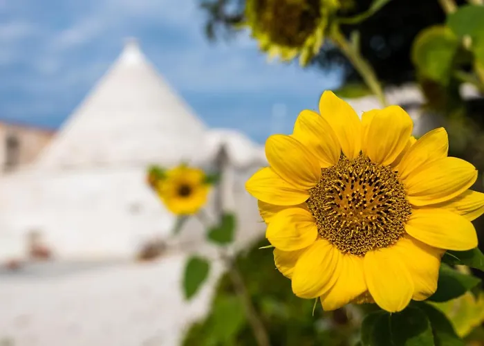Masseria Mezza Ruota